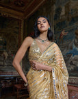 Gold Mirror Work Saree