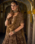 Bronze Tissue Lehenga Set