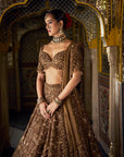 Bronze Tissue Lehenga Set