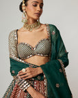 Cranberry Flower Linear Lehenga With Full Sleeve Blouse