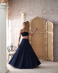 Midnight Revierie Embroidered Lehenga Set