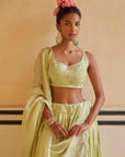 Pista Lehenga Set
