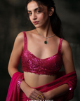 Hot Pink Sequins Border Saree