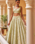 Pista Lehenga Set