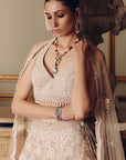 Flamingos of the Wild Lehenga