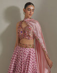 Lehenga Set - Pink 2