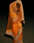 Classic Saree