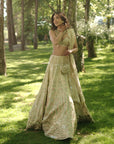 Suroor Lehenga Set - Gold