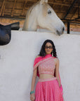 Banarasi Chanderi Silk Lehenga