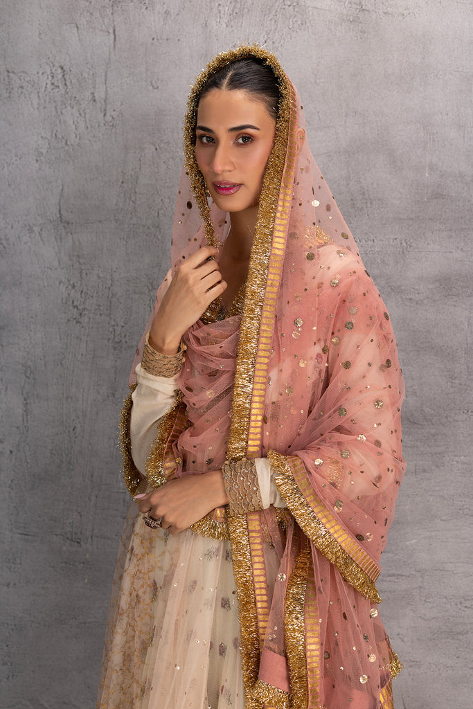 Blush Net Printed &amp; Embroidered Anarkali Set