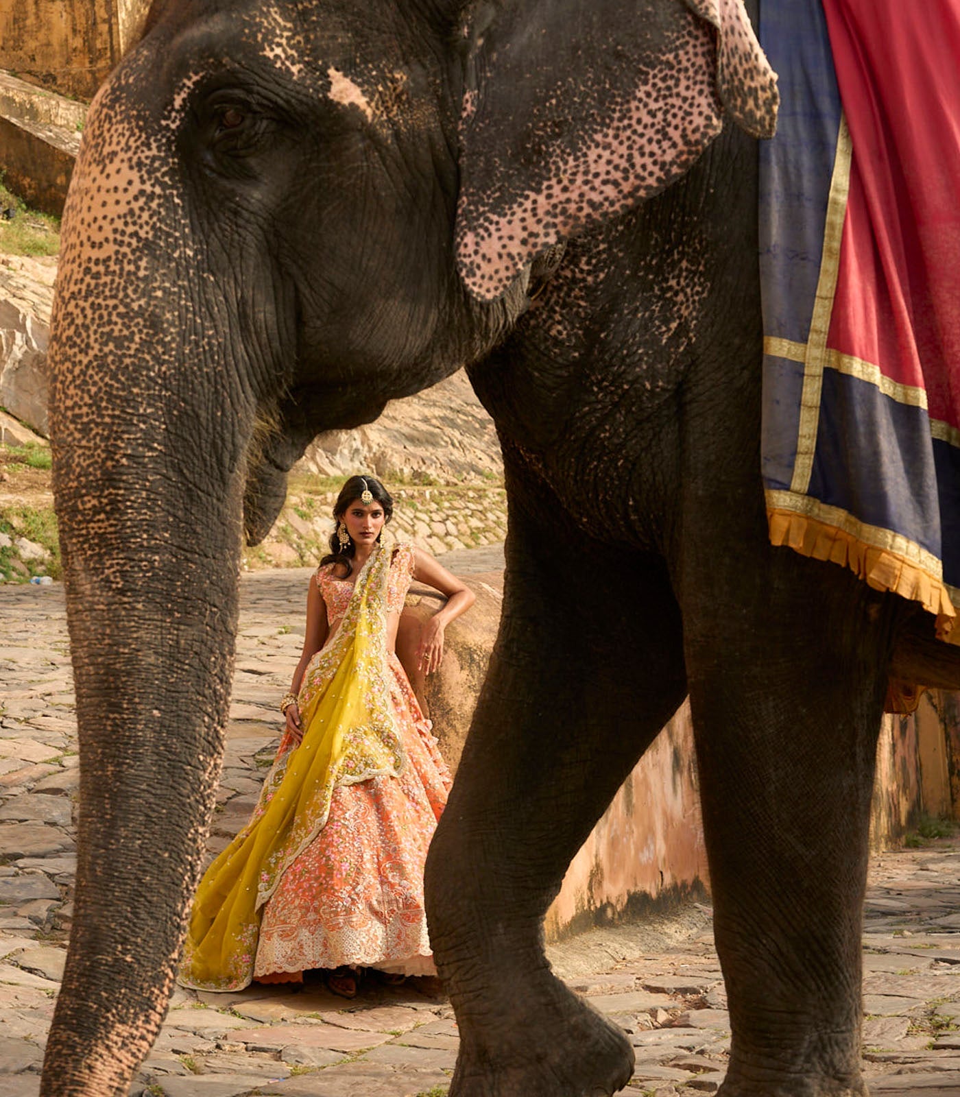 Kamya Lehenga Set