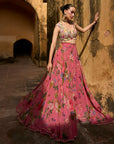 Janhvi Applique Skirt Set