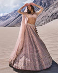 Nubra Lehenga Set
