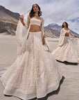 Saahira Lehenga Set