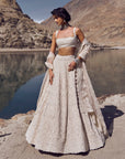 Carmine Lehenga Set