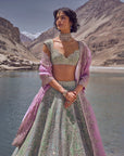 Shar Lehenga Set