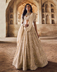 Greyish Ivory Meena Lehenga Set