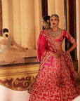 Astra Lehenga Set