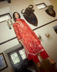 Aari Parrot Straight Cut Kurta Set - Red