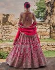 Cherry Red Anita Lehenga Set