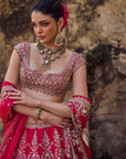 Cherry Red Anita Lehenga Set