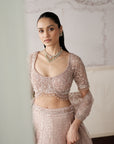 Ivory Blush Embroidered Lehenga Set