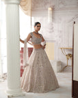 Champagne Opal Embroidered Lehenga Set