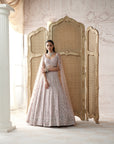 Blush Elysee Embroidered Lehenga Set