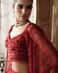 Crimson Etoile Embroidered Lehenga Set