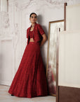 Crimson Revierie Embroidered Lehenga Set