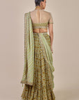 Olive Yellow Stole