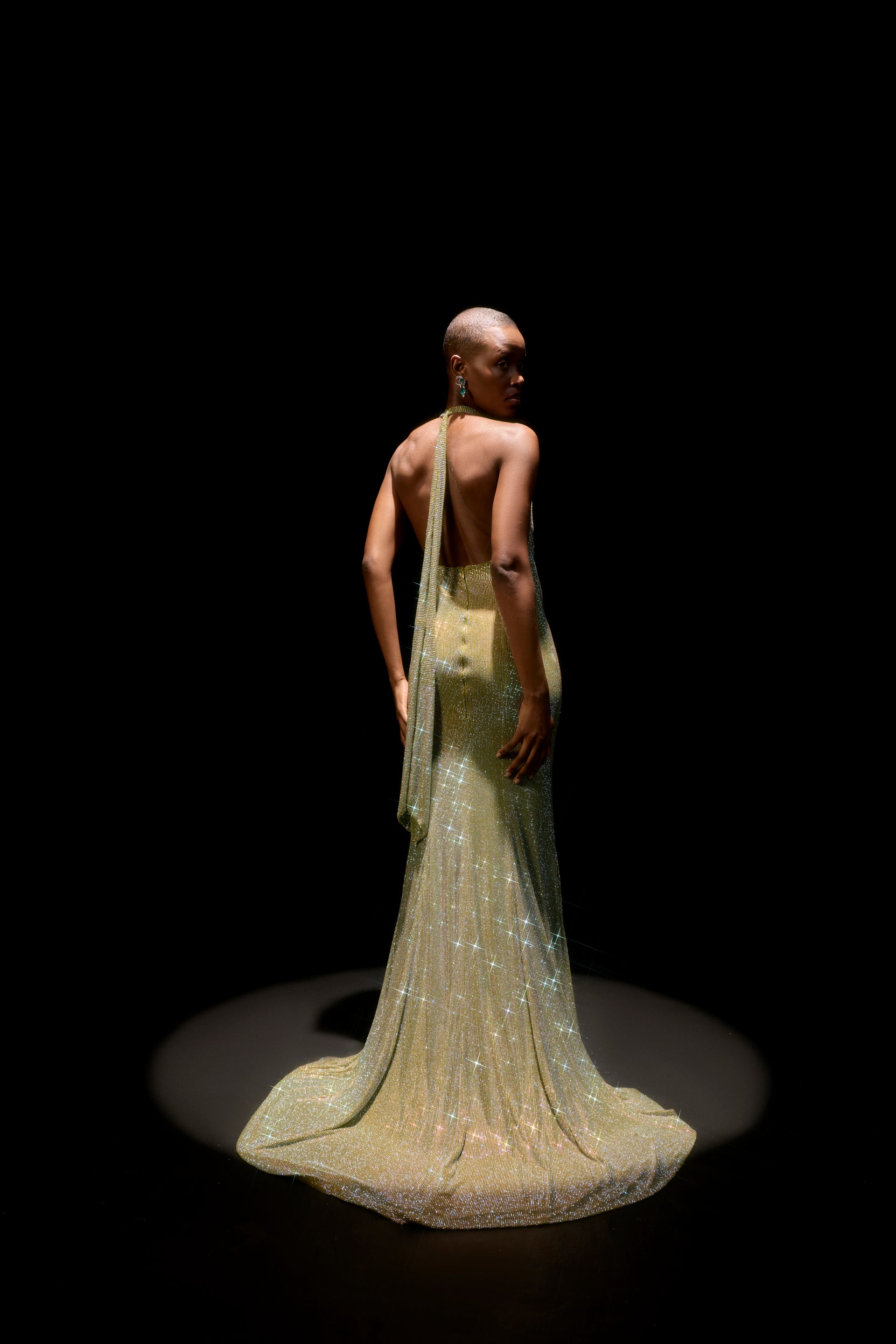 Elara Gown