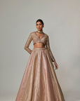 Deep Beige Multicolor V Neck Crop Top With Skirt