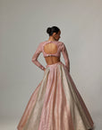 Dark Blush Multicolor Metallic Gota Crop Top Skirt