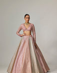 Dark Blush Multicolor Metallic Gota Crop Top Skirt