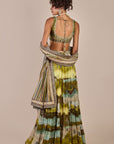 Olive Multi Hued Skirt Set