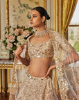 Rose Gold Mirror Work Lehenga Set - Ready to Ship