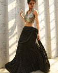 Reva Pre Drape Saree