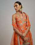 Golconda Sitara Sharara Set