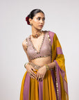 Green Lehenga Pants Set