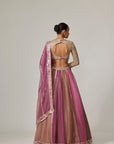 Mud Mauve Multicolor Lehenga With V Neck Blouse