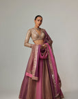 Mud Mauve Multicolor Lehenga With V Neck Blouse