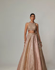 Deep Beige Multicolor With Crop Top