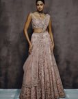 Petalia Dusty Rose Embellished Lehenga