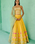 Falak