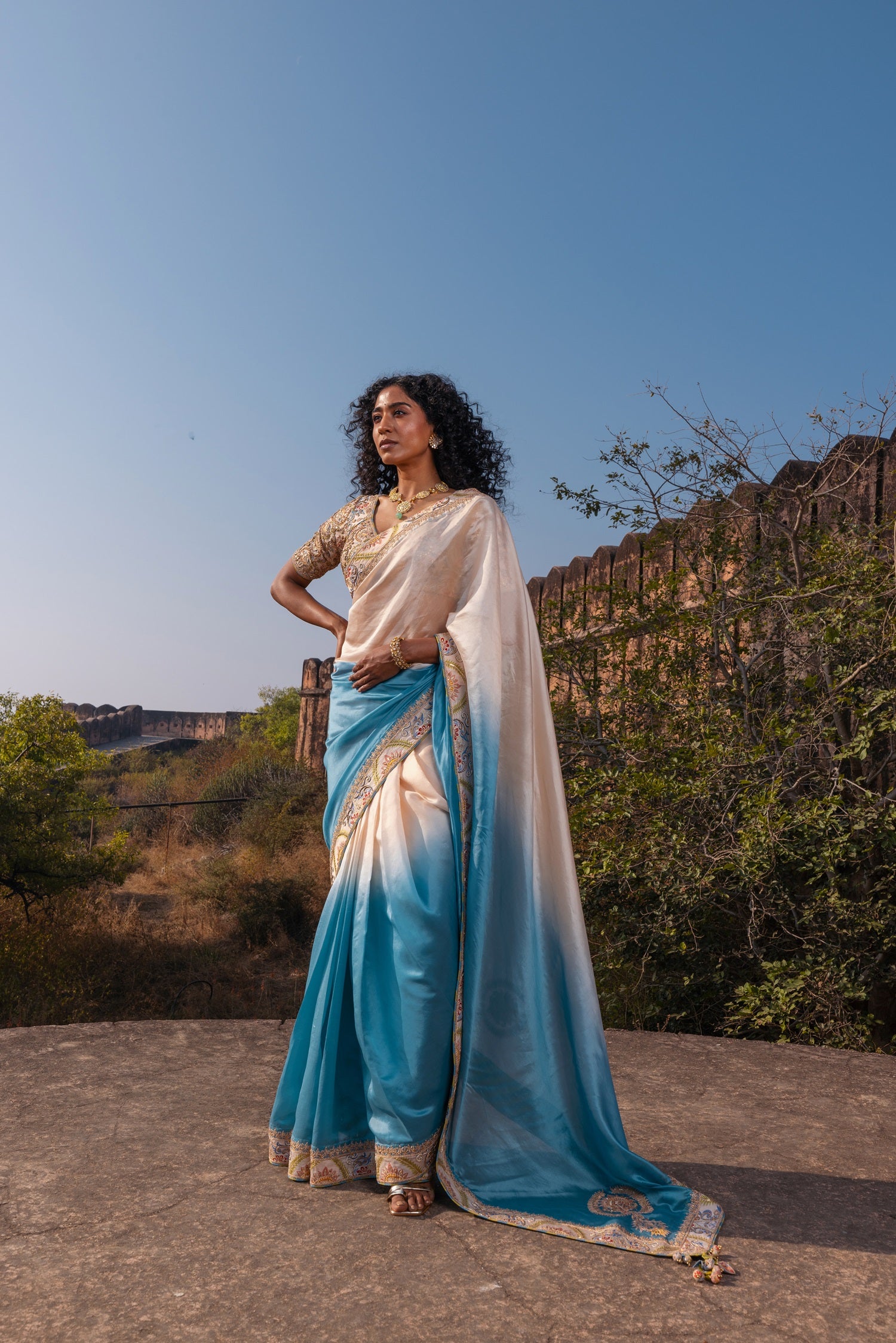 The Ombré Saree
