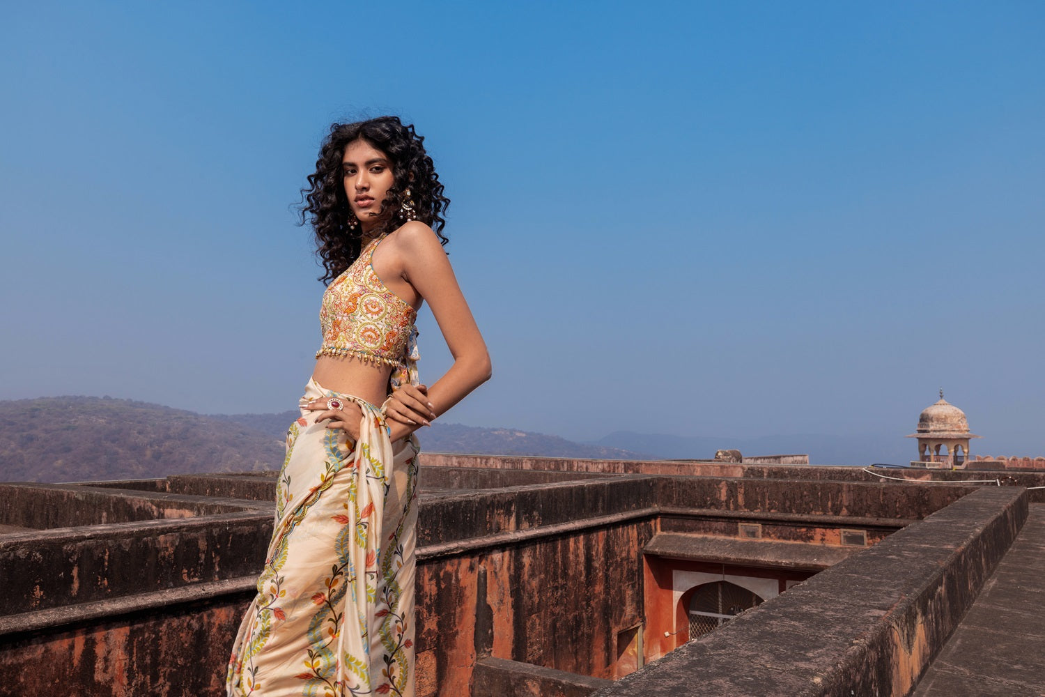 Classic Printed Saree Set