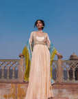 Buttercup Anarkali Koti  set