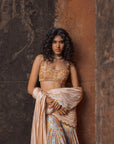 Noor Gharara Saree Set
