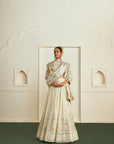 Aabira Lehenga Set - Gold